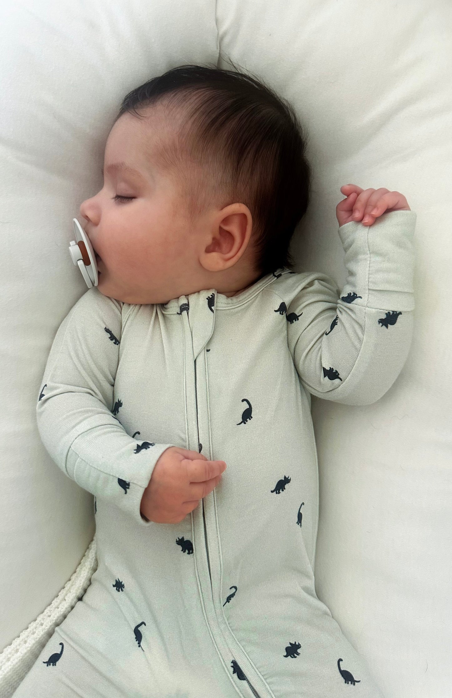 Zippered Pajamas | Dinos